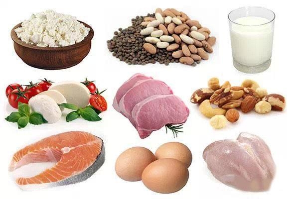 <b>蛋白质丰富容易消化的食物有哪些</b>