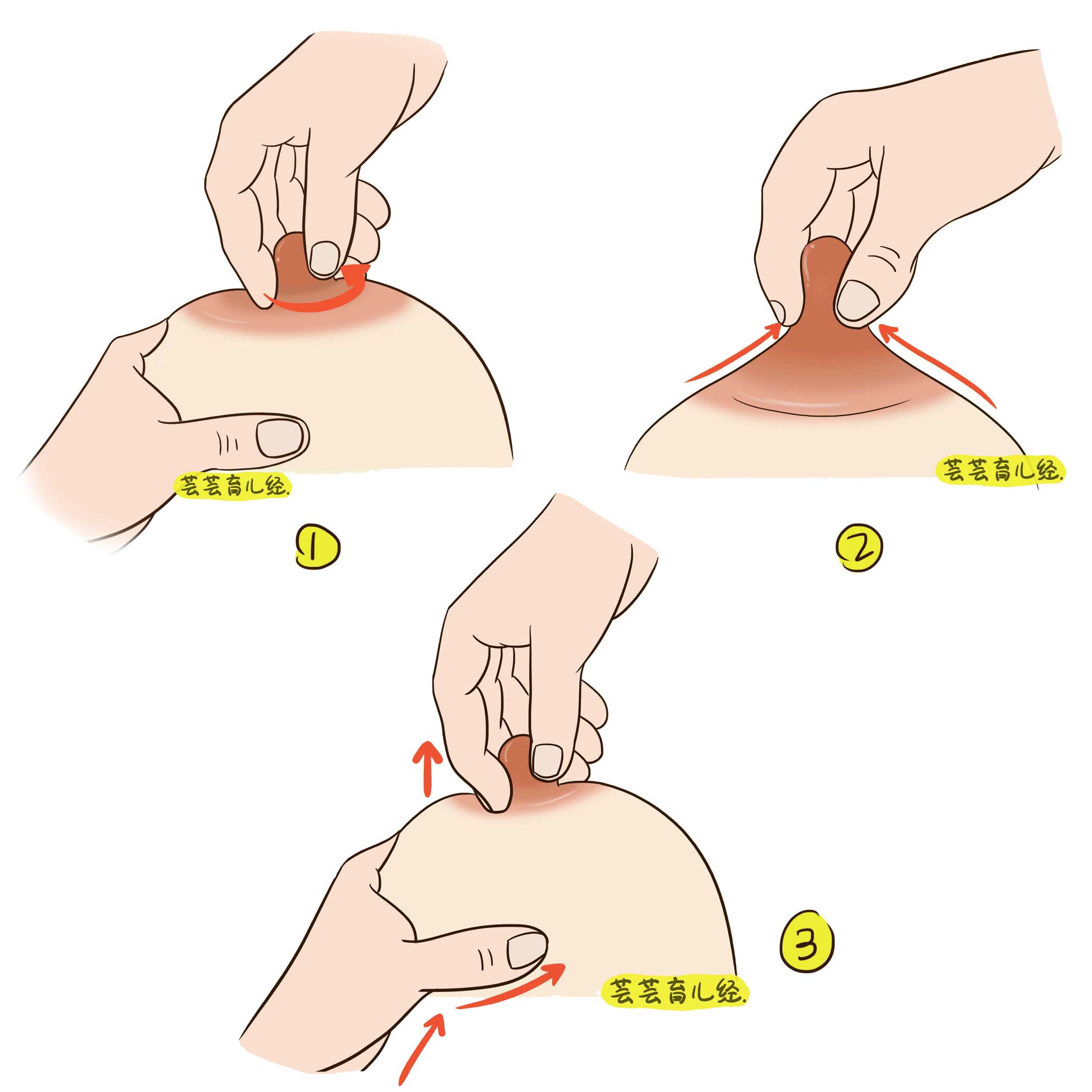 时用五指指面将乳房组织带回