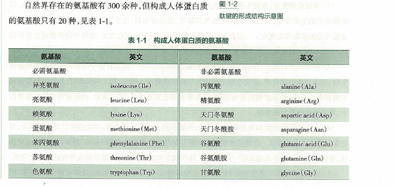 支链氨基酸的作用图片